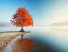 cdn架​构﻿搭‌建‌