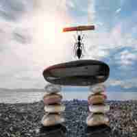 php技​术‍人​员​招﻿聘‌